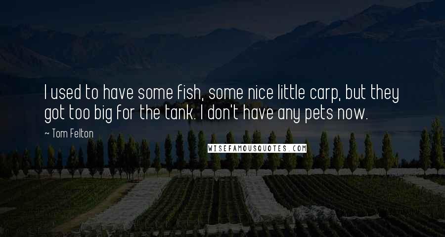 Tom Felton Quotes: I used to have some fish, some nice little carp, but they got too big for the tank. I don't have any pets now.