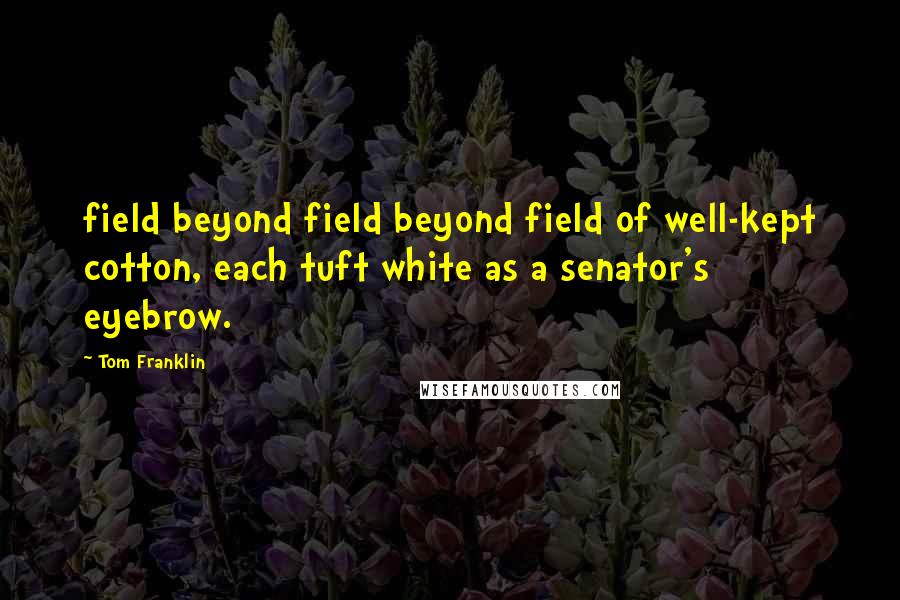 Tom Franklin Quotes: field beyond field beyond field of well-kept cotton, each tuft white as a senator's eyebrow.