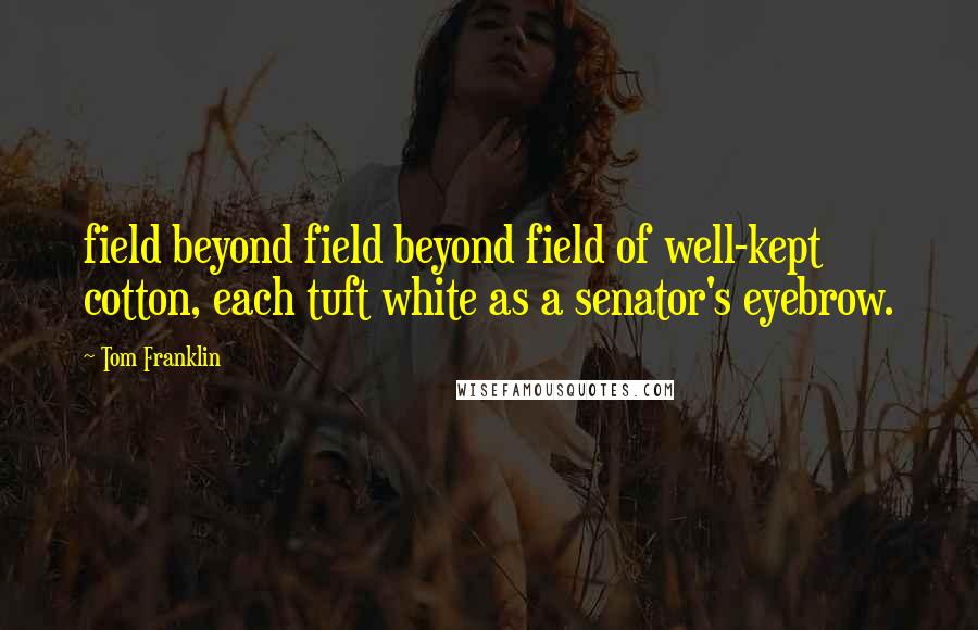 Tom Franklin Quotes: field beyond field beyond field of well-kept cotton, each tuft white as a senator's eyebrow.