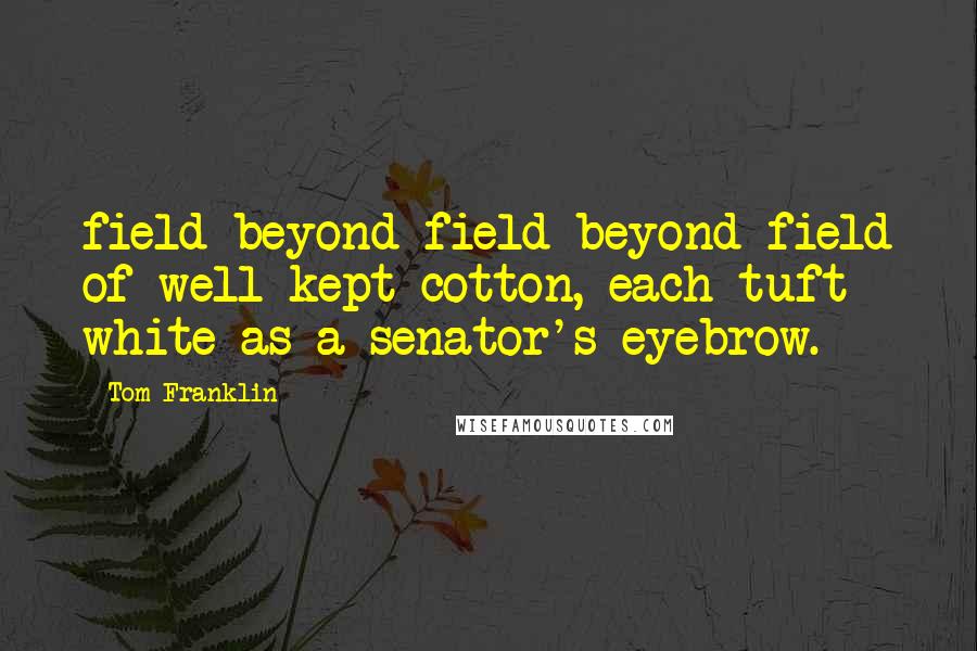 Tom Franklin Quotes: field beyond field beyond field of well-kept cotton, each tuft white as a senator's eyebrow.