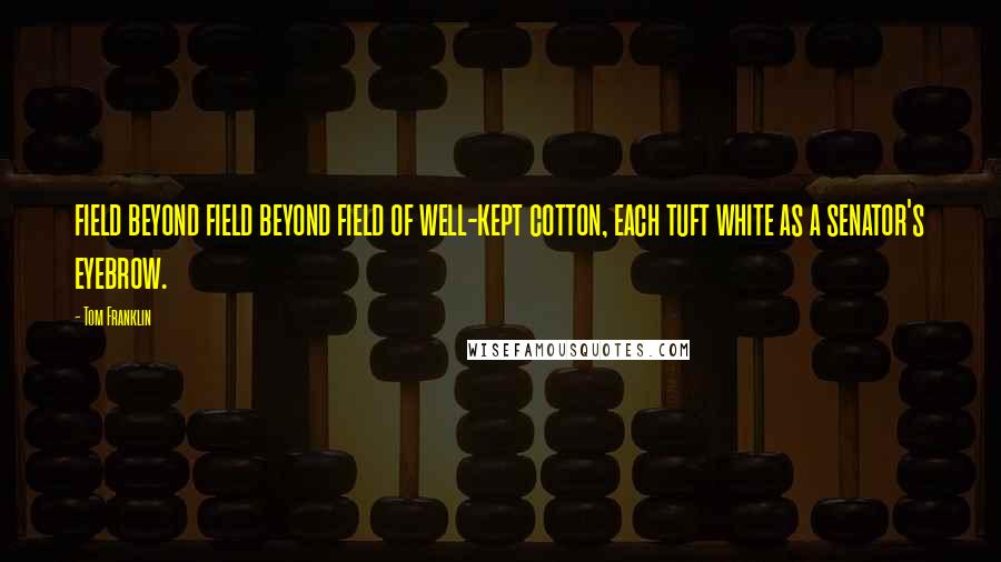 Tom Franklin Quotes: field beyond field beyond field of well-kept cotton, each tuft white as a senator's eyebrow.