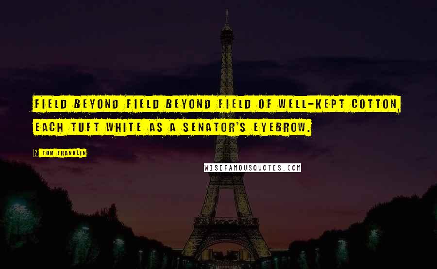 Tom Franklin Quotes: field beyond field beyond field of well-kept cotton, each tuft white as a senator's eyebrow.