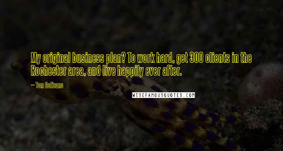 Tom Golisano Quotes: My original business plan? To work hard, get 300 clients in the Rochester area, and live happily ever after.