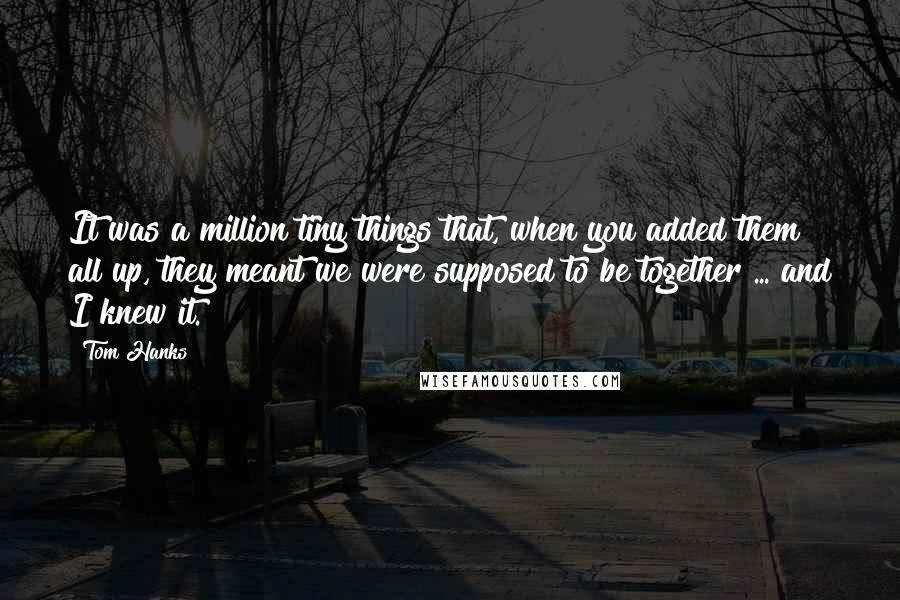 Tom Hanks Quotes: It was a million tiny things that, when you added them all up, they meant we were supposed to be together ... and I knew it.