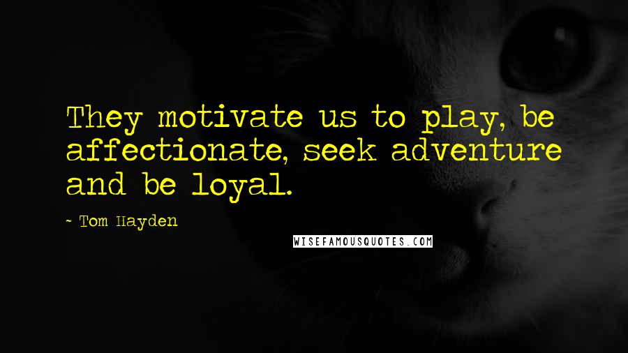 Tom Hayden Quotes: They motivate us to play, be affectionate, seek adventure and be loyal.