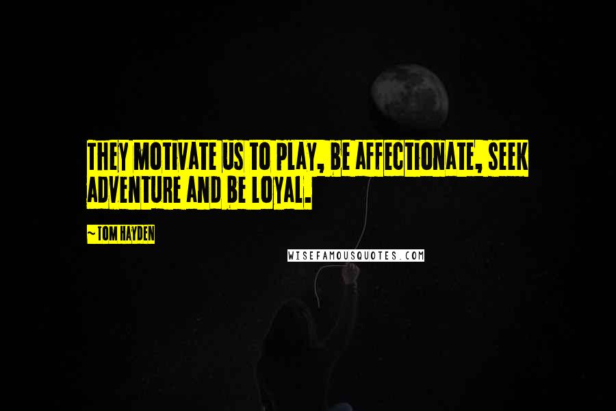 Tom Hayden Quotes: They motivate us to play, be affectionate, seek adventure and be loyal.
