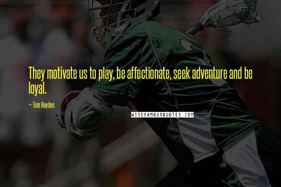 Tom Hayden Quotes: They motivate us to play, be affectionate, seek adventure and be loyal.