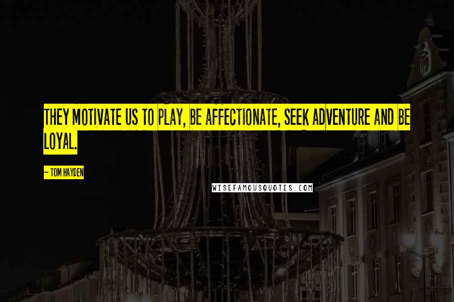Tom Hayden Quotes: They motivate us to play, be affectionate, seek adventure and be loyal.