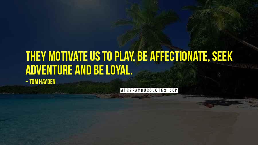 Tom Hayden Quotes: They motivate us to play, be affectionate, seek adventure and be loyal.