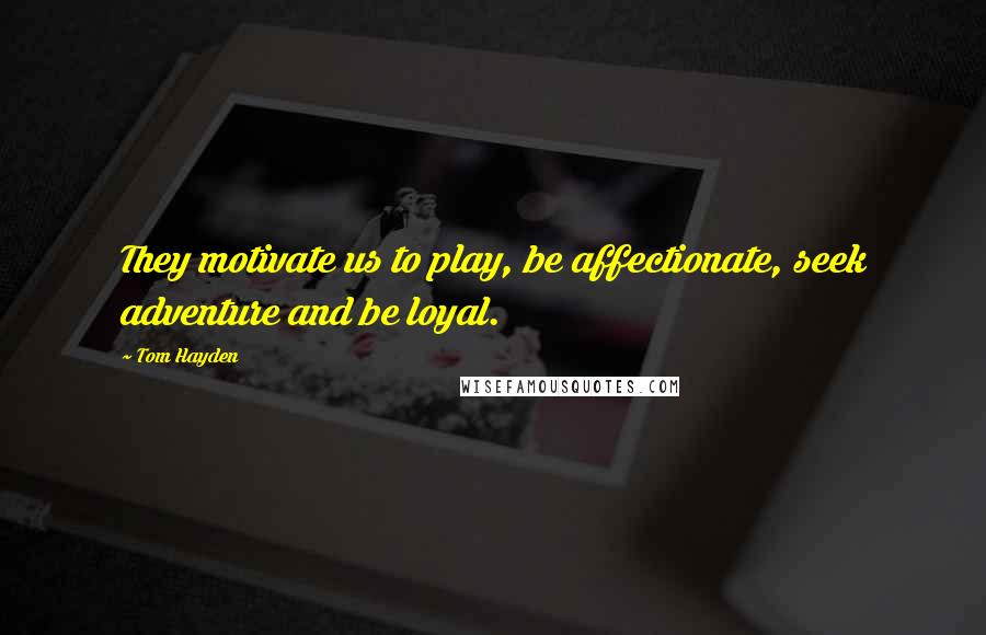Tom Hayden Quotes: They motivate us to play, be affectionate, seek adventure and be loyal.