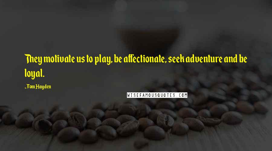 Tom Hayden Quotes: They motivate us to play, be affectionate, seek adventure and be loyal.