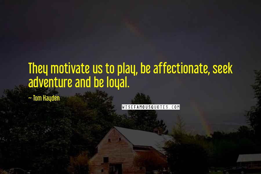 Tom Hayden Quotes: They motivate us to play, be affectionate, seek adventure and be loyal.