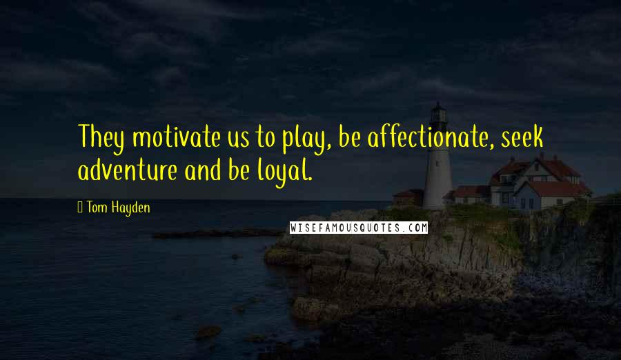 Tom Hayden Quotes: They motivate us to play, be affectionate, seek adventure and be loyal.