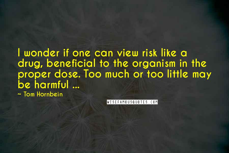 Tom Hornbein Quotes: I wonder if one can view risk like a drug, beneficial to the organism in the proper dose. Too much or too little may be harmful ...