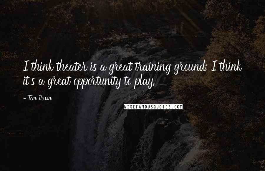 Tom Irwin Quotes: I think theater is a great training ground; I think it's a great opportunity to play.