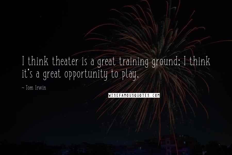 Tom Irwin Quotes: I think theater is a great training ground; I think it's a great opportunity to play.