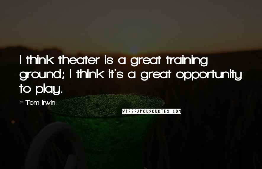 Tom Irwin Quotes: I think theater is a great training ground; I think it's a great opportunity to play.