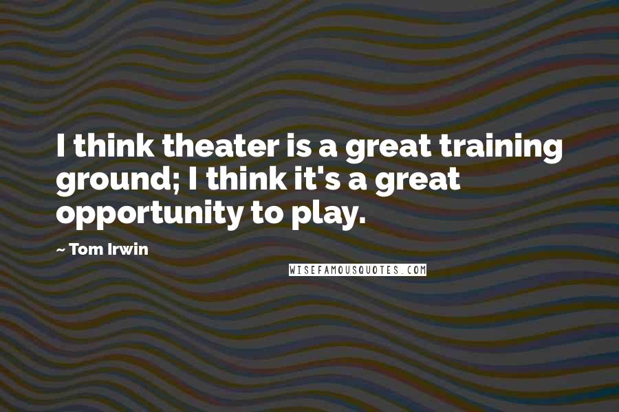 Tom Irwin Quotes: I think theater is a great training ground; I think it's a great opportunity to play.