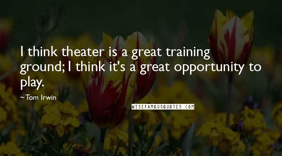 Tom Irwin Quotes: I think theater is a great training ground; I think it's a great opportunity to play.