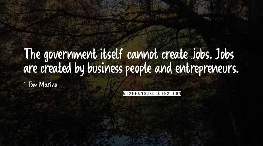 Tom Marino Quotes: The government itself cannot create jobs. Jobs are created by business people and entrepreneurs.