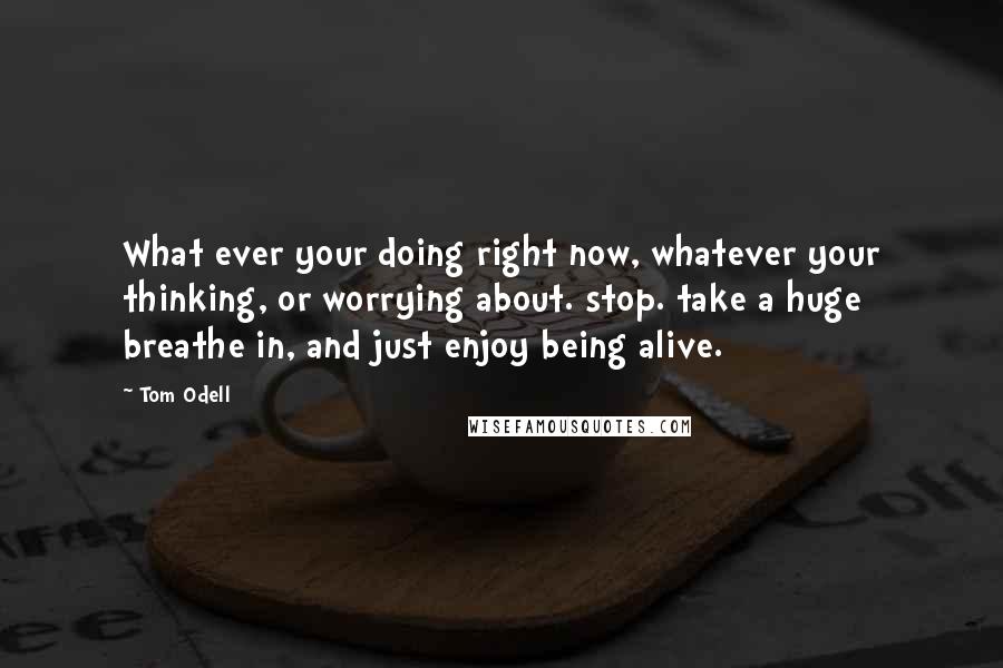 Tom Odell Quotes: What ever your doing right now, whatever your thinking, or worrying about. stop. take a huge breathe in, and just enjoy being alive.