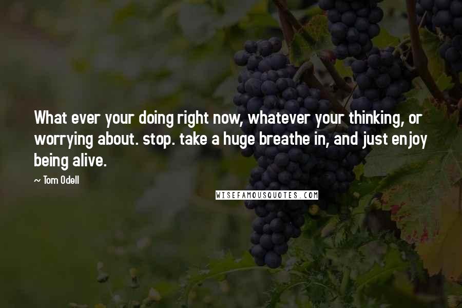 Tom Odell Quotes: What ever your doing right now, whatever your thinking, or worrying about. stop. take a huge breathe in, and just enjoy being alive.