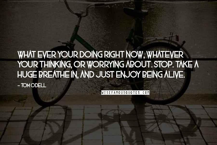 Tom Odell Quotes: What ever your doing right now, whatever your thinking, or worrying about. stop. take a huge breathe in, and just enjoy being alive.