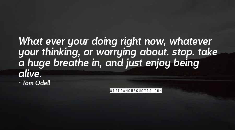 Tom Odell Quotes: What ever your doing right now, whatever your thinking, or worrying about. stop. take a huge breathe in, and just enjoy being alive.