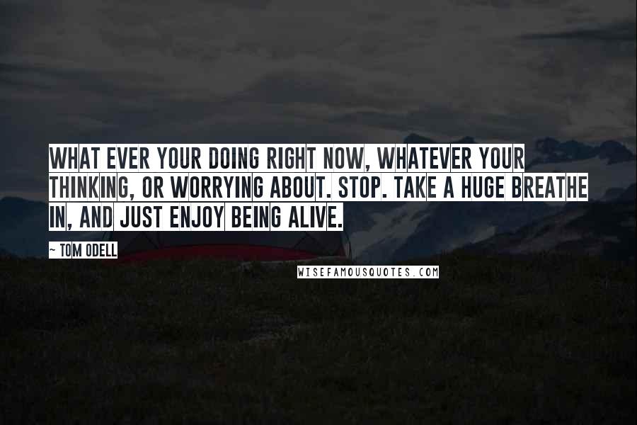 Tom Odell Quotes: What ever your doing right now, whatever your thinking, or worrying about. stop. take a huge breathe in, and just enjoy being alive.