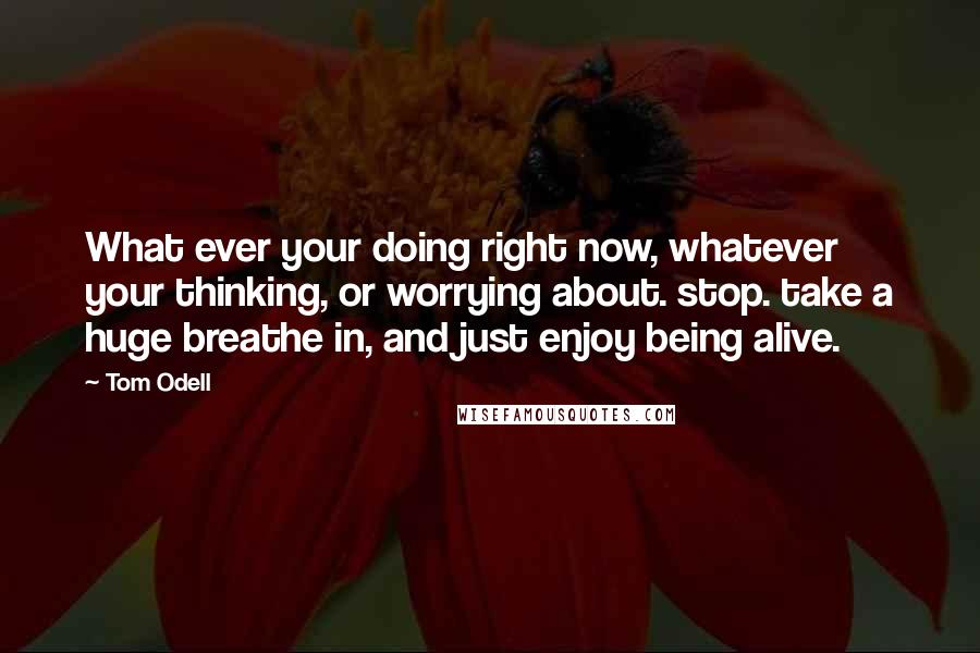 Tom Odell Quotes: What ever your doing right now, whatever your thinking, or worrying about. stop. take a huge breathe in, and just enjoy being alive.