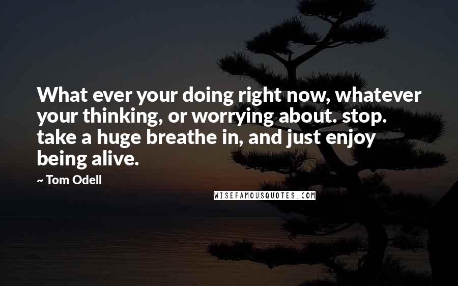 Tom Odell Quotes: What ever your doing right now, whatever your thinking, or worrying about. stop. take a huge breathe in, and just enjoy being alive.