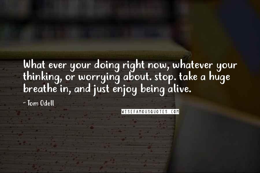 Tom Odell Quotes: What ever your doing right now, whatever your thinking, or worrying about. stop. take a huge breathe in, and just enjoy being alive.