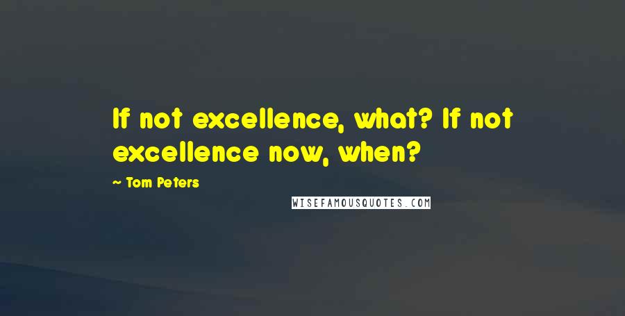 Tom Peters Quotes: If not excellence, what? If not excellence now, when?