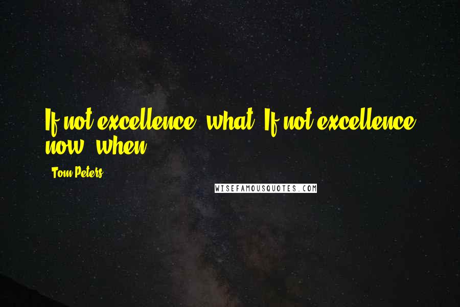 Tom Peters Quotes: If not excellence, what? If not excellence now, when?