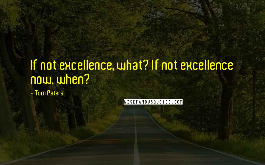 Tom Peters Quotes: If not excellence, what? If not excellence now, when?