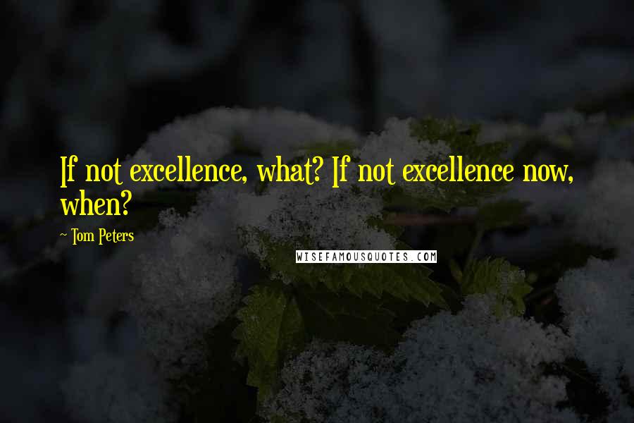 Tom Peters Quotes: If not excellence, what? If not excellence now, when?