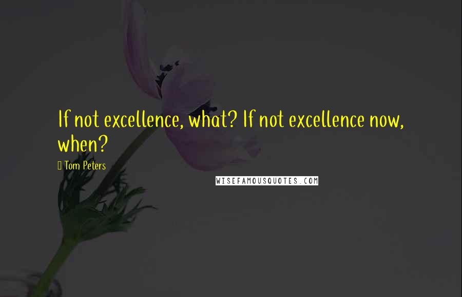 Tom Peters Quotes: If not excellence, what? If not excellence now, when?