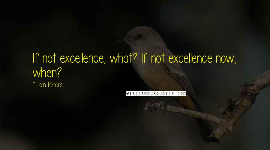 Tom Peters Quotes: If not excellence, what? If not excellence now, when?