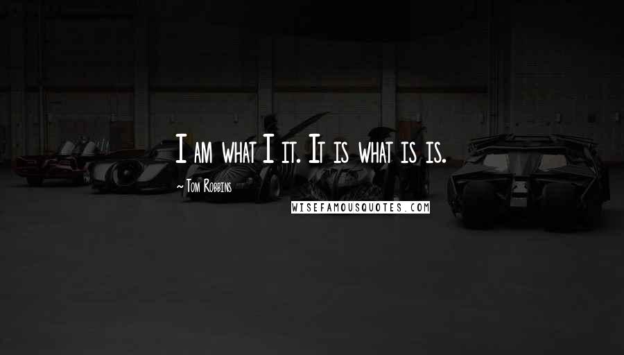 Tom Robbins Quotes: I am what I it. It is what is is.