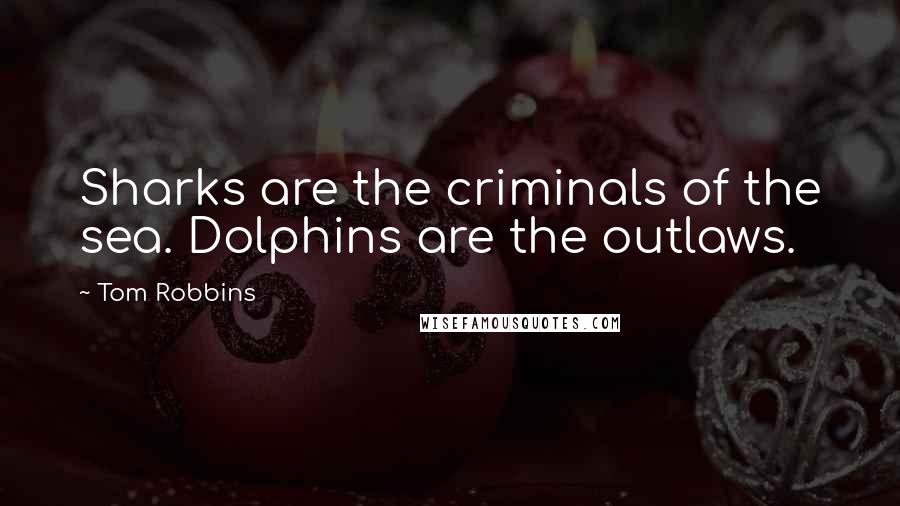 Tom Robbins Quotes: Sharks are the criminals of the sea. Dolphins are the outlaws.