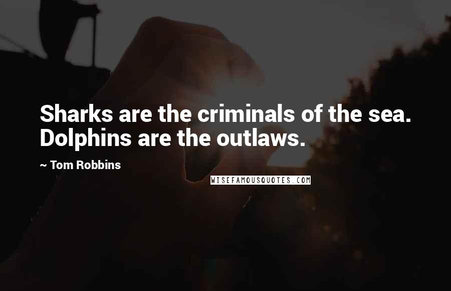 Tom Robbins Quotes: Sharks are the criminals of the sea. Dolphins are the outlaws.