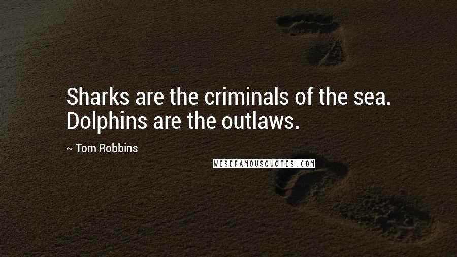 Tom Robbins Quotes: Sharks are the criminals of the sea. Dolphins are the outlaws.