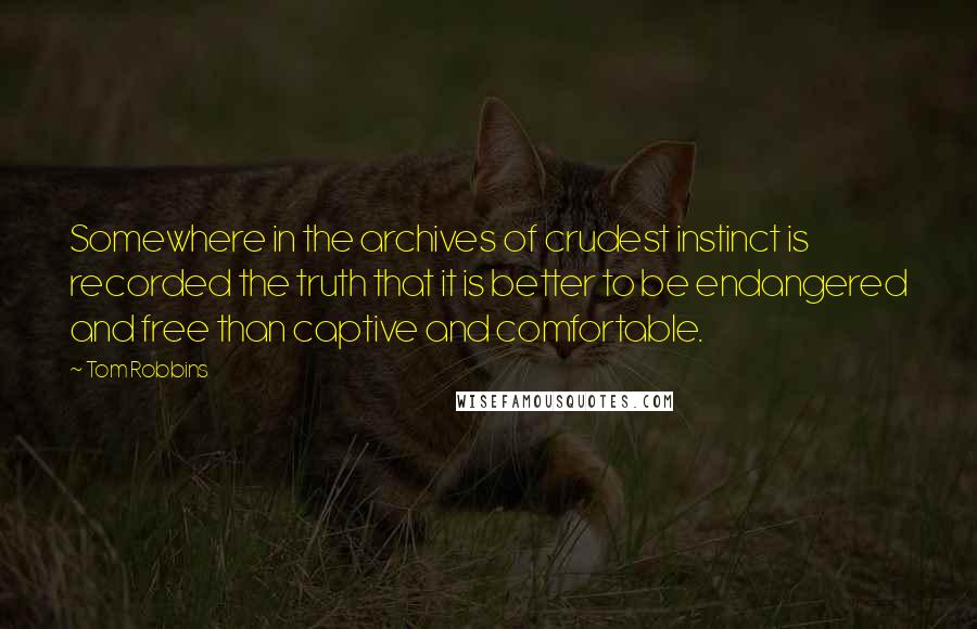 Tom Robbins Quotes: Somewhere in the archives of crudest instinct is recorded the truth that it is better to be endangered and free than captive and comfortable.