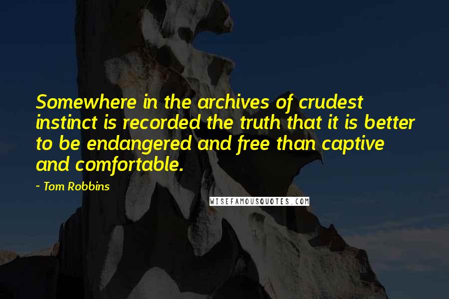 Tom Robbins Quotes: Somewhere in the archives of crudest instinct is recorded the truth that it is better to be endangered and free than captive and comfortable.