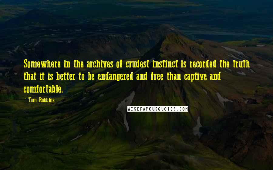 Tom Robbins Quotes: Somewhere in the archives of crudest instinct is recorded the truth that it is better to be endangered and free than captive and comfortable.