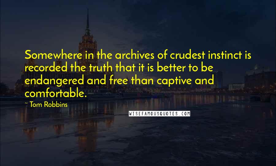 Tom Robbins Quotes: Somewhere in the archives of crudest instinct is recorded the truth that it is better to be endangered and free than captive and comfortable.