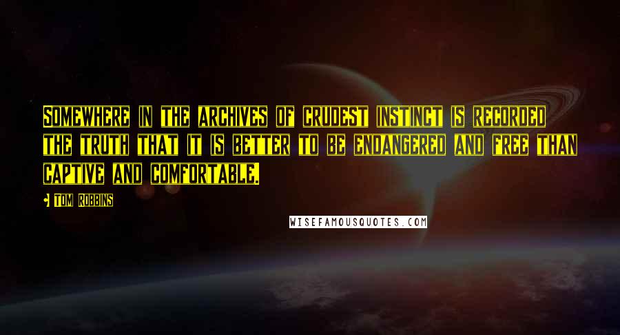 Tom Robbins Quotes: Somewhere in the archives of crudest instinct is recorded the truth that it is better to be endangered and free than captive and comfortable.