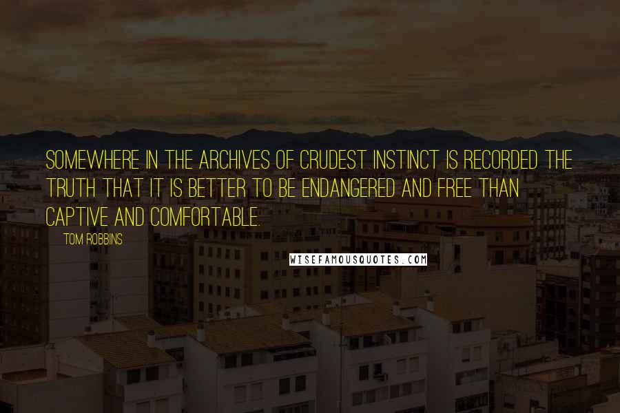 Tom Robbins Quotes: Somewhere in the archives of crudest instinct is recorded the truth that it is better to be endangered and free than captive and comfortable.