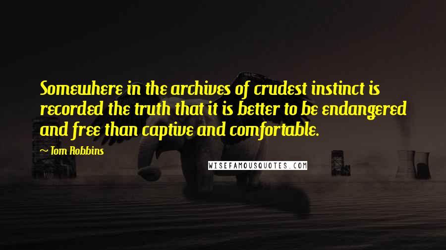 Tom Robbins Quotes: Somewhere in the archives of crudest instinct is recorded the truth that it is better to be endangered and free than captive and comfortable.