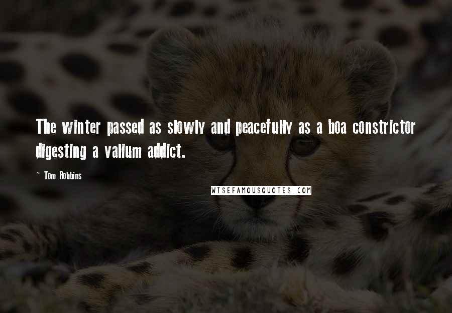 Tom Robbins Quotes: The winter passed as slowly and peacefully as a boa constrictor digesting a valium addict.